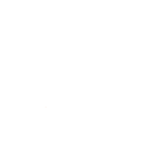 ecovadis Medaille 2026